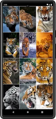 Tiger Wallpapers android App screenshot 1