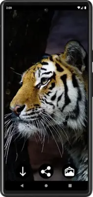 Tiger Wallpapers android App screenshot 2