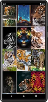 Tiger Wallpapers android App screenshot 3